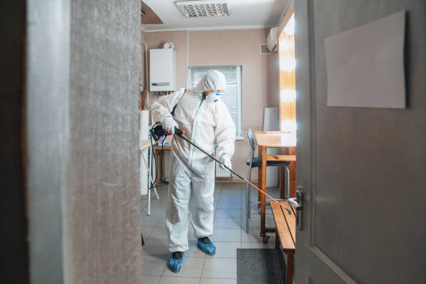 Best Indoor Air Quality Assessment  in Tierra Verde, FL