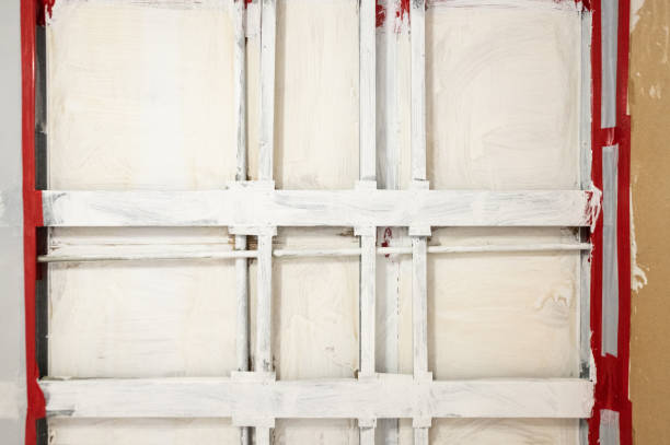 Best Comprehensive Air Testing for Mold Contaminants  in Tierra Verde, FL