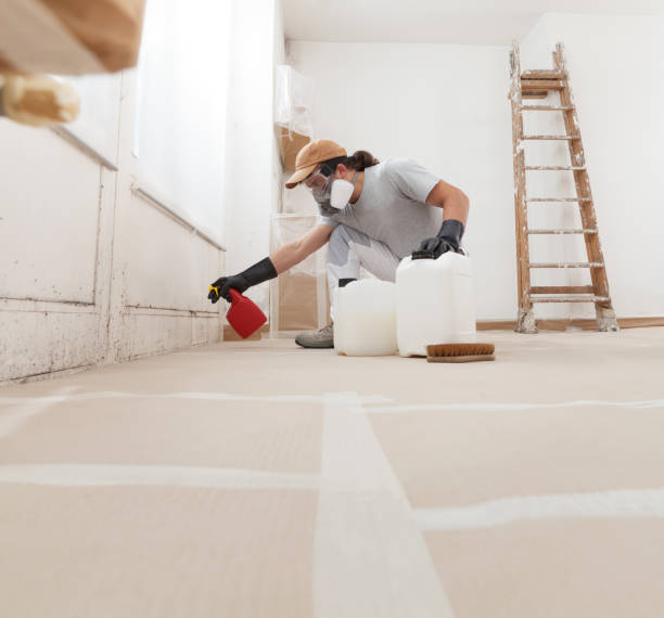 Asbestos and Lead Testing During Mold Inspection in Tierra Verde, FL